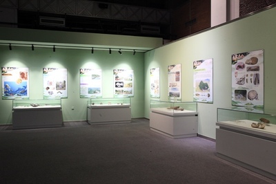 临时展览 创新与互动的展览展示服务